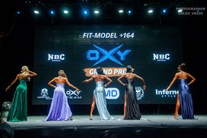 FIT-MODEL + 164 раунд 2